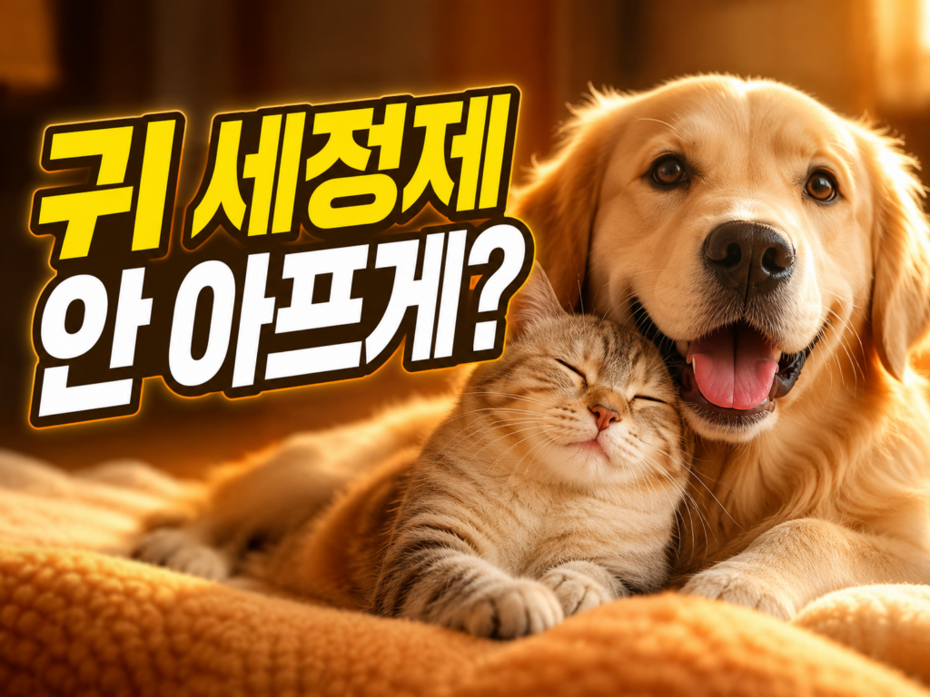 강아지 귀 청소 주기와 귀 세정제 아프지 않게 넣는 올바른 홈케어 방법