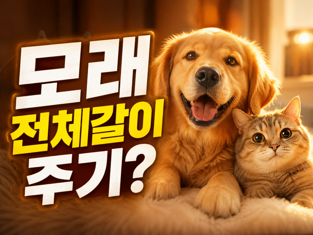 고양이 모래 전체갈이 주기와 냄새 없는 화장실 청소 및 소독법