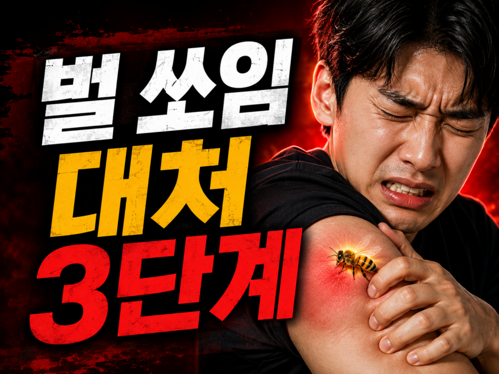 벌 쏘임 응급처치 3단계와 벌초·예초기 안전수칙