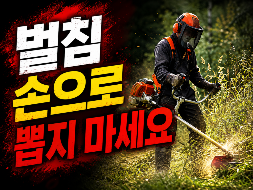 벌초철 벌 쏘임 응급처치·예초기 안전, 이 순서만 지키세요